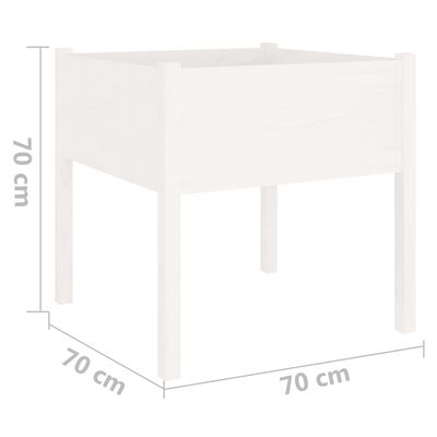 vidaXL dārza puķu kastes, 2 gab., 70x70x70cm, balts priedes masīvkoks