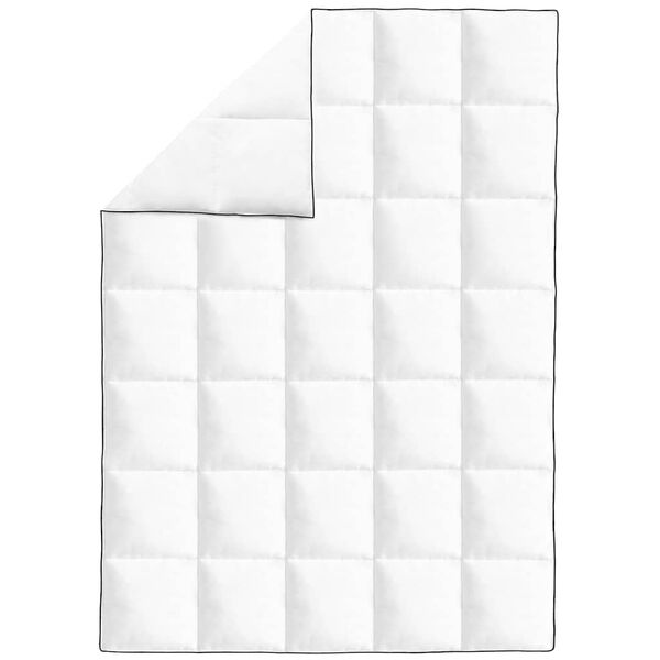 vidaXL ziemas dūnu sega, 155x220 cm