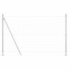 vidaXL Žogs ar stabu Sudraba 1,6 x 10 m Tērauds