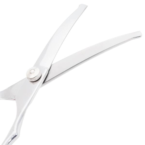 vidaXL 6 gabalu suņu kopšanas šķēru komplekts no nerūsējošā tērauda