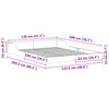vidaXL Gultas rāmis Balts 120 x 200 cm Ciets priedes koks