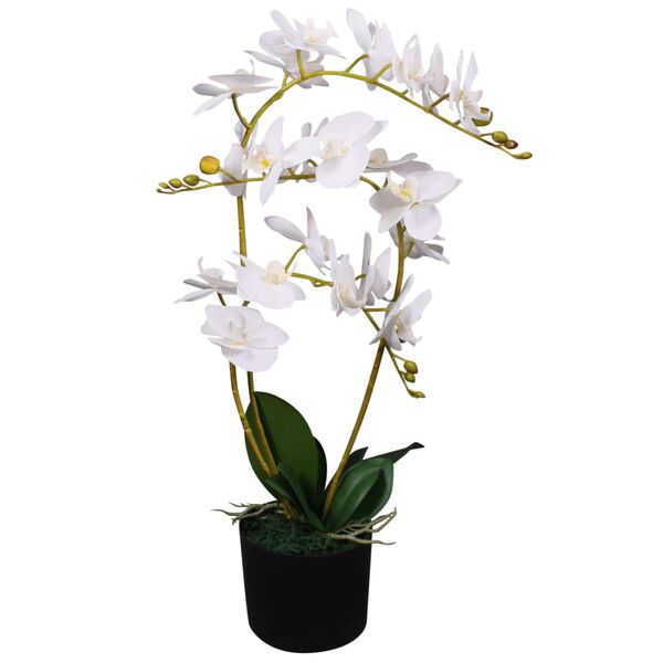 Showing Product Image 1 of 2