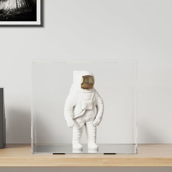 vidaXL vitrīna, caurspīdīga, 40x36x35 cm, akrils