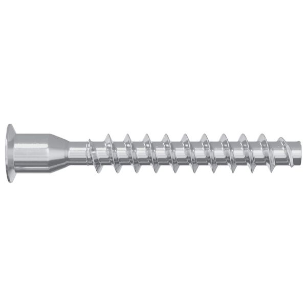 vidaXL Stiprinājumu skrūves 2 pcs Sudraba &Oslash;7 x 50 mm Metāls