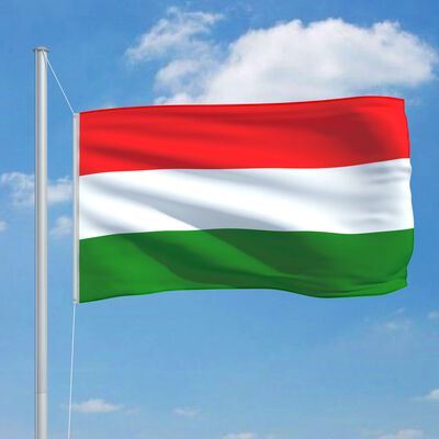vidaXL Ungārijas karogs un karoga masts, alumīnijs, 6,2 m
