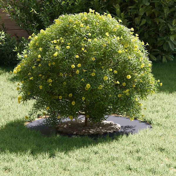 vidaXL piemērots plakaniem koka gredzeniem 5 pcs Antracīts &Oslash;30 / 60 cm