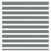 vidaXL žalūzijas zebra 150x100 cm auduma platums 145,9 cm poliesters