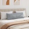 vidaXL Dīvāna spilveni 2 pcs Gai&scaron;i pelēks 120 x 40 cm audums