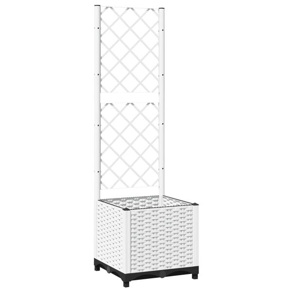 Showing Product Image 1 of 8