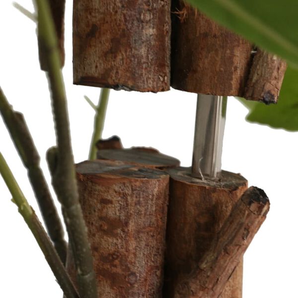 Showing Product Image 2 of 5