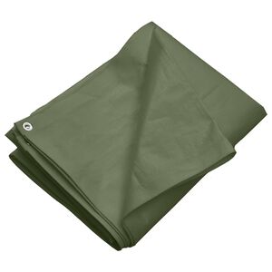 vidaXL brezenta pārklājs, 260 g/m&sup2;, 2x3 m, zaļ&scaron;, HDPE
