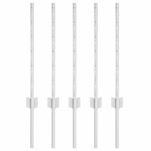 vidaXL Iegultais žogs 5 gab. Sudraba 100 cm