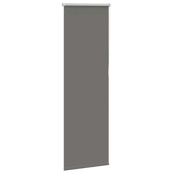 vidaXL Rullo žalūzija Blackout pelēks 50x175 cm Auduma platums 45,7 cm