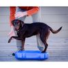 FitPAWS dzīvnieku līdzsvara platforma K9FITbone, zils PVC, FPK9BONEBL