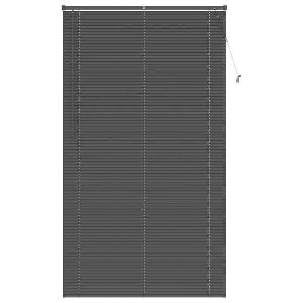 vidaXL Venēcijas žalūzija Sudrabaini pelēks 213 x 110 cm PVC
