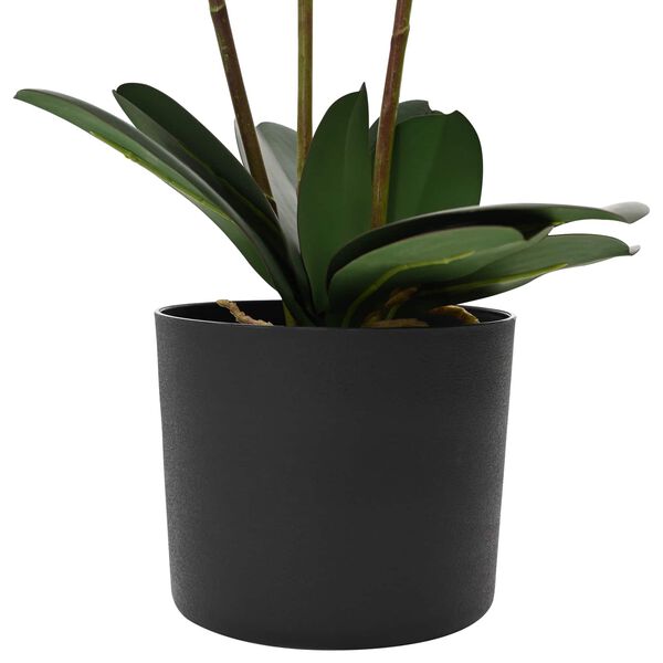 Showing Product Image 3 of 5
