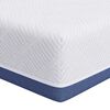 vidaXL Matracis Vidēji ciets 70 x 200 cm Balta un zila