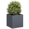 Anthracite