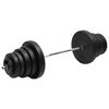 vidaXL svaru stienis ar diskiem, 90 kg
