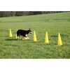 415627 Kerbl 2-in-1 Agility Hurdle Cone Set Yellow 81994