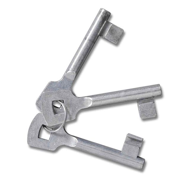 vidaXL dārza sieta vārti, durvju sienas reste, 300x175 cm