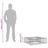 vidaXL Gabions pacelta gulta Sudraba 80 x 80 x 20 cm Cinkots tērauds