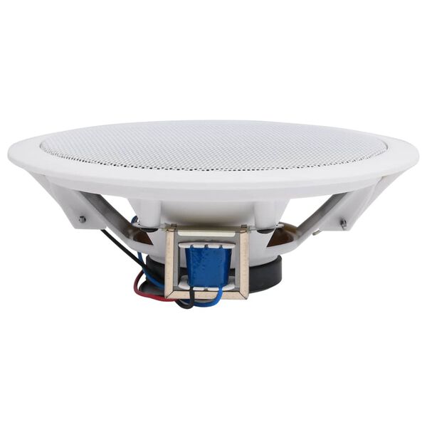 vidaXL iebūvējami sienas un griestu skaļruņi, 2 gab., 120 W