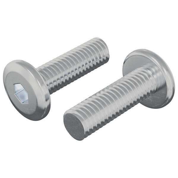 vidaXL Skrūve 2 pcs Sudraba 8 x 25 mm Tērauds