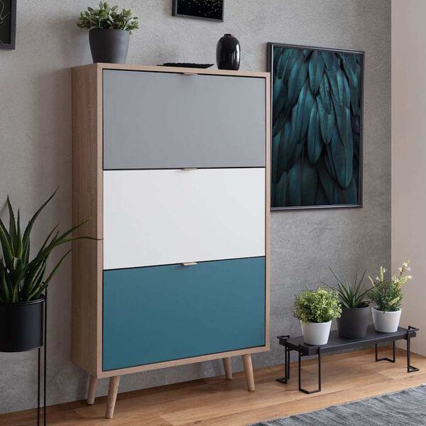 Finori apavu skapis C-uba 42, daudzkrāsains