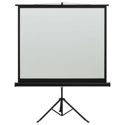 vidaXL projekcijas ekrāns ar statīvu, 60", 1:1