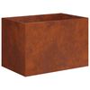 vidaXL Dārza stādītājs Rūsa 50 x 40 x 40 cm Novecināts tērauds