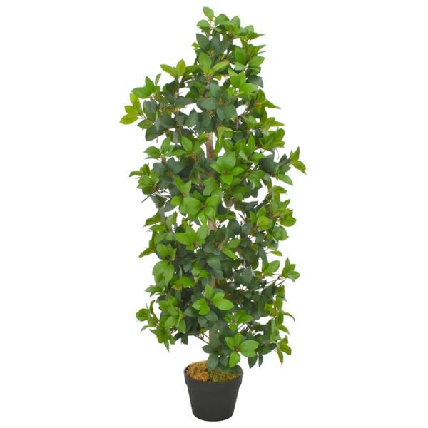 Showing Product Image 1 of 2