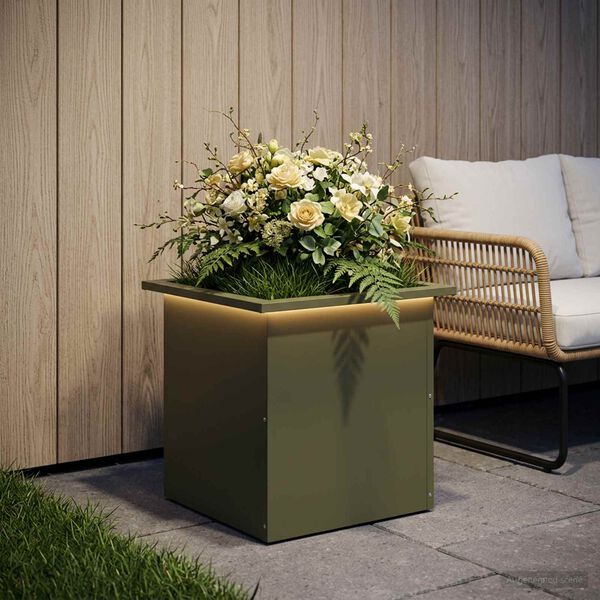 Showing Product Image 2 of 12