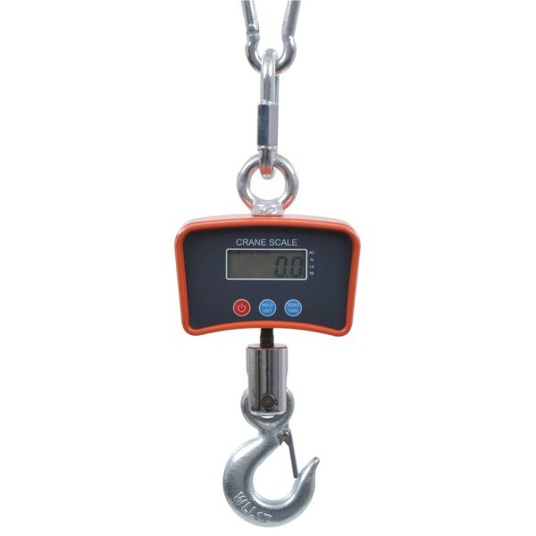 vidaXL elektroniskie celtņa svari, 1000 kg