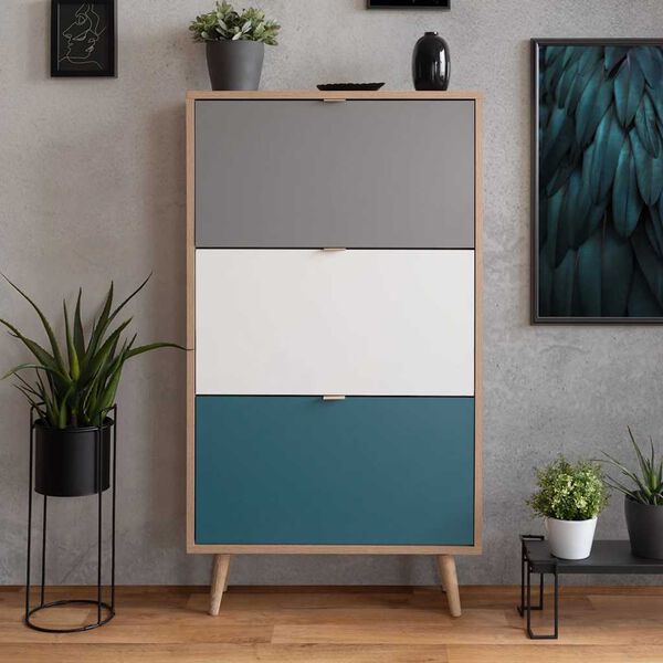 Finori apavu skapis C-uba 42, daudzkrāsains