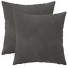 vidaXL Spilvenu pārvalks 2 pcs HEERLEN Tum&scaron;i pelēka 30 x 30 cm Samts