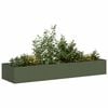 Olive_green