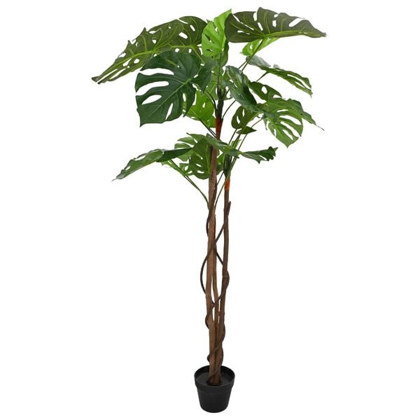 Showing Product Image 2 of 5