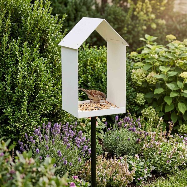 Showing Product Image 2 of 7