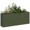 Olive_green