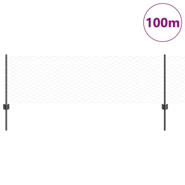 vidaXL Žogs ar stabu Pelēka 0,6 x 100 m Tērauds un PVC