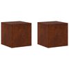 vidaXL Augu statīvs 2 pcs Rūsa 40 x 40 x 40 cm Novecināts tērauds