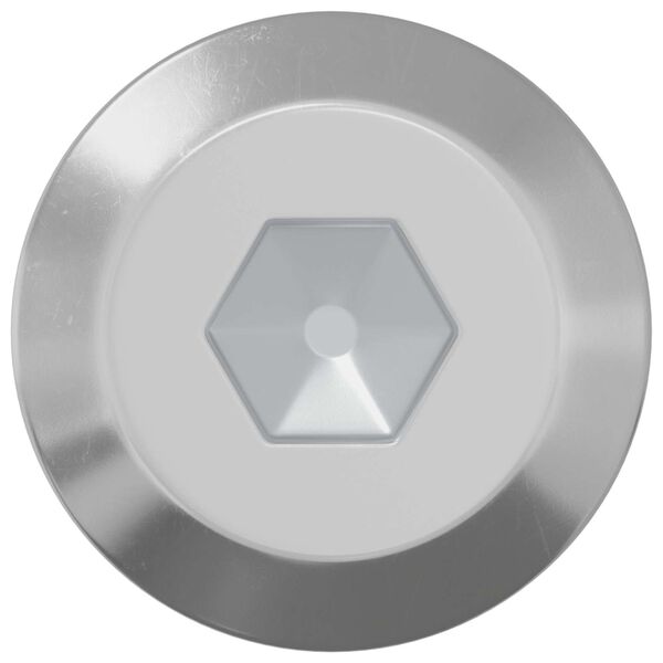 vidaXL Skrūve 2 pcs Sudraba M6 x 60 mm Tērauds