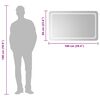 vidaXL vannasistabas spogulis ar LED, 100x60 cm