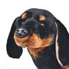 Produkta sīktēla attēls 3 no 5