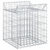 vidaXL Gabions pacelta gulta 50 x 50 x 60 cm Cinkota tērauda Sudraba