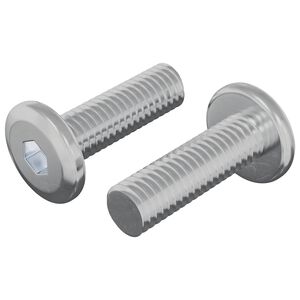 vidaXL Skrūve 2 gab. Sudraba 8 x 25 mm Tērauds