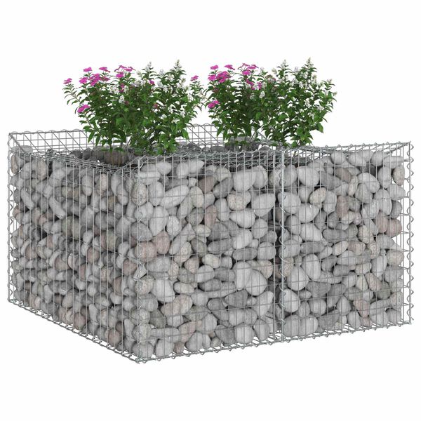 vidaXL Gabions pacelta gulta Sudraba 100 x 100 x 60 cm Cinkots tērauds