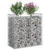 vidaXL Gabions pacelta gulta Sudraba 50 x 100 x 100 cm Cinkots tērauds