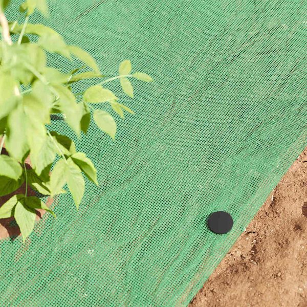 vidaXL Plastmasas tapas 500 pcs Melna &Oslash;3 x 11 cm Plastmasa